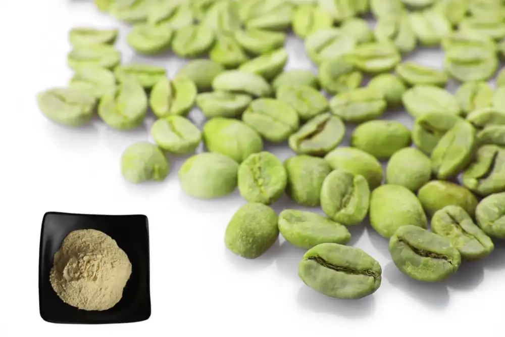 Can Chlorogenic Acid Powder Support Weight Loss?